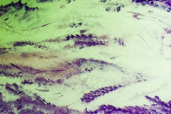 N 057A